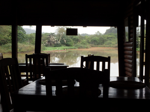 View from inside the Hippo Haunt Restaurant.